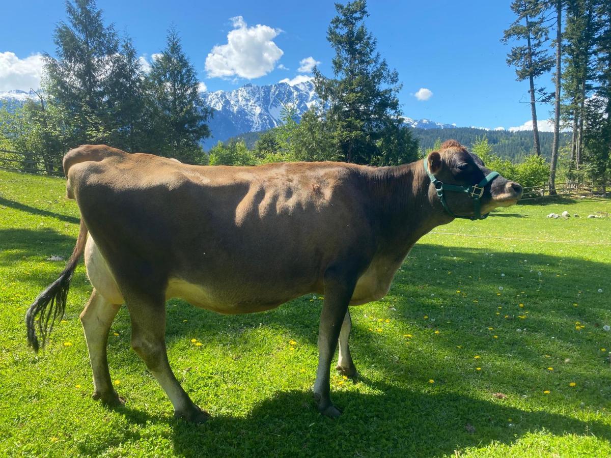 Villa Sweetwater Lane Farm Mount Currie Exterior foto