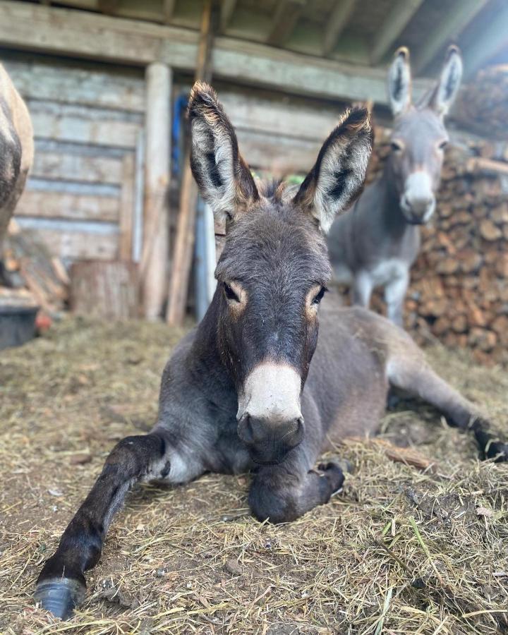 Villa Sweetwater Lane Farm Mount Currie Exterior foto
