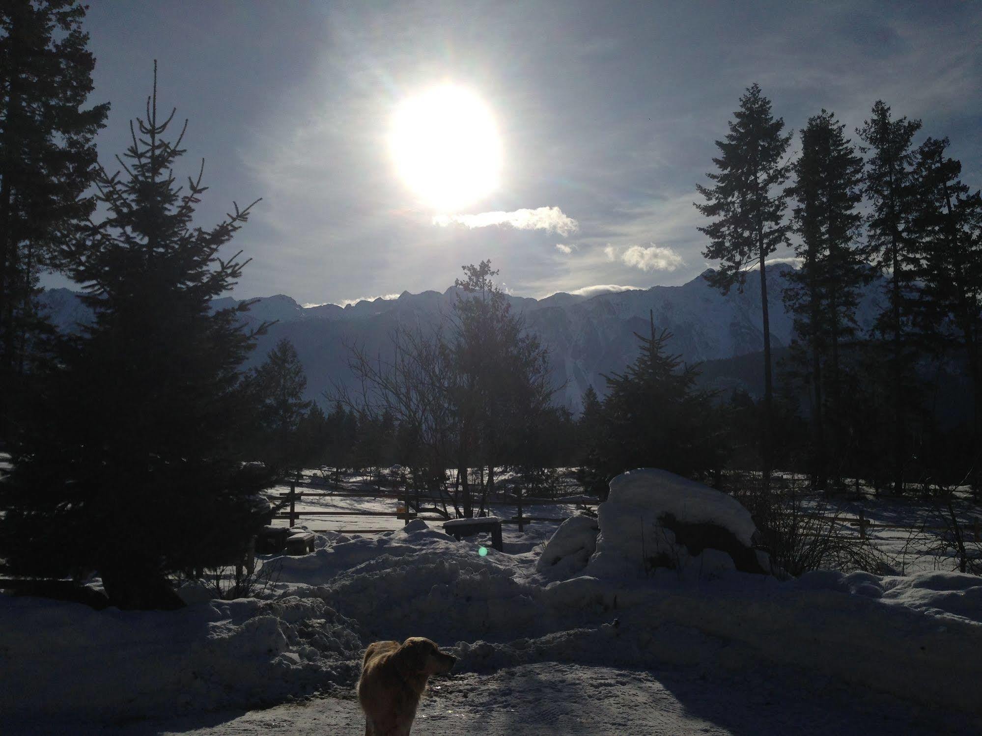 Villa Sweetwater Lane Farm Mount Currie Exterior foto
